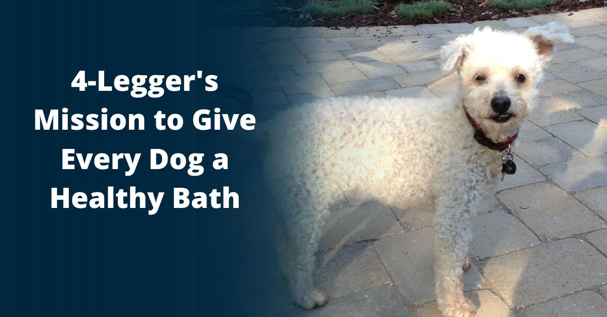 Learn about 4-Legger's mission to give every dog a healthy bath