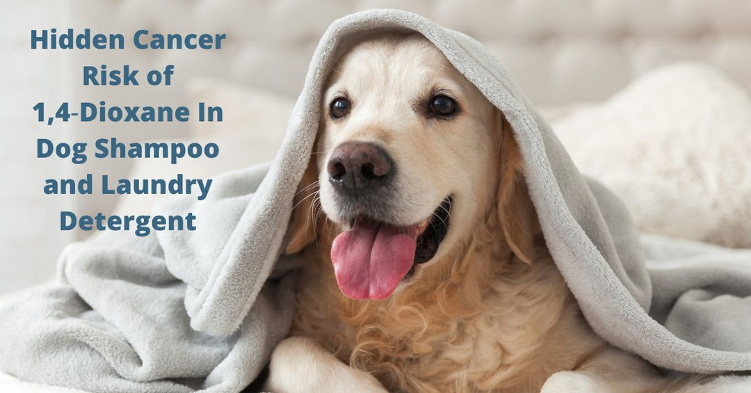 Hidden Cancer Risk of 1,4‑Dioxane In Dog Shampoo and Laundry Detergent