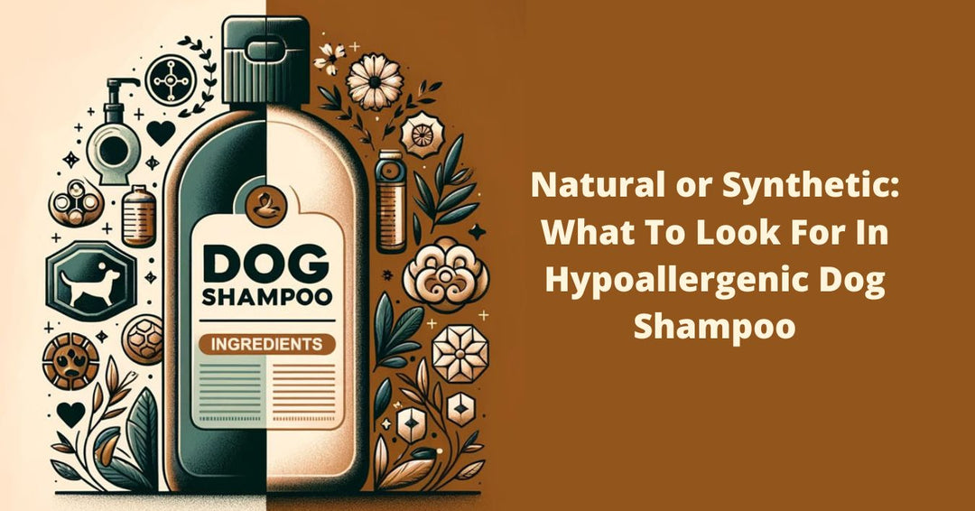 What to Look for in Hypoallergenic Dog Shampoo