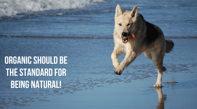 All Natural Dog Shampoo Should Be USDA Organic Dog Shampoo