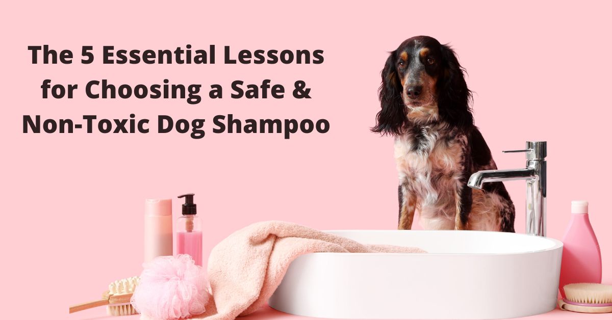 How to Select A truly Safe Natural Dog Shampoo