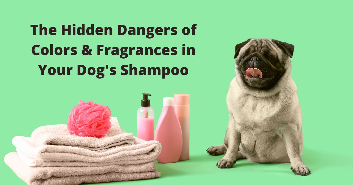 Natural Dog Shampoo Doesn't Contain Fragrance