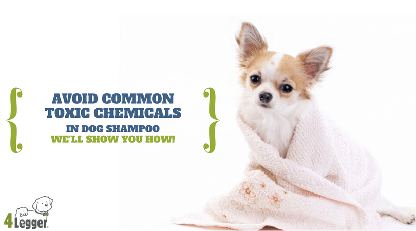 Chemical Free Dog Shampoo | Safe Dog Shampoo | Best Dog Shampoo