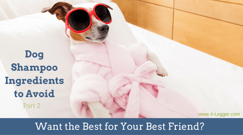 Free cheap dog shampoo