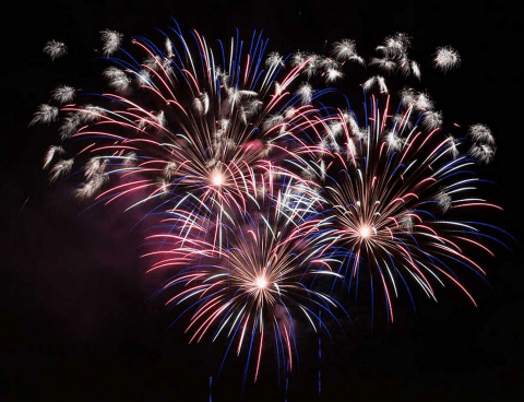 Organic Dog Shampoo | Fireworks and Dogs