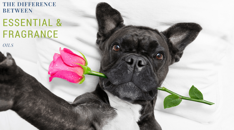 Learn the difference between fragrance oil and essential oil