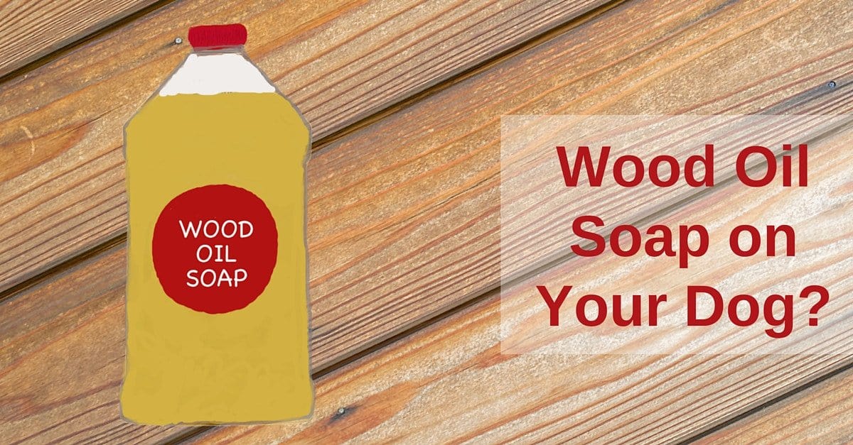 Organic Dog Shampoo | Natural Dog Shampoo