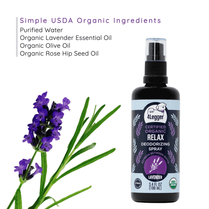 Calming lavender essential oil dog deodorizing spray | dog touch up spray