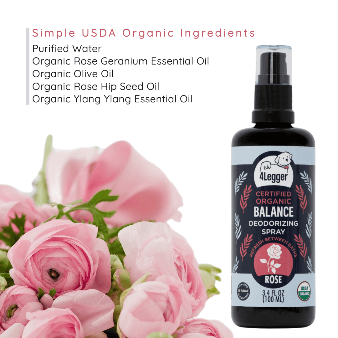 organic dog deodorizing spray in between baths
