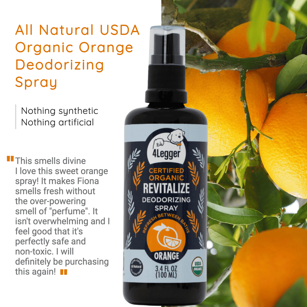 natural dog deodorizing spray orange