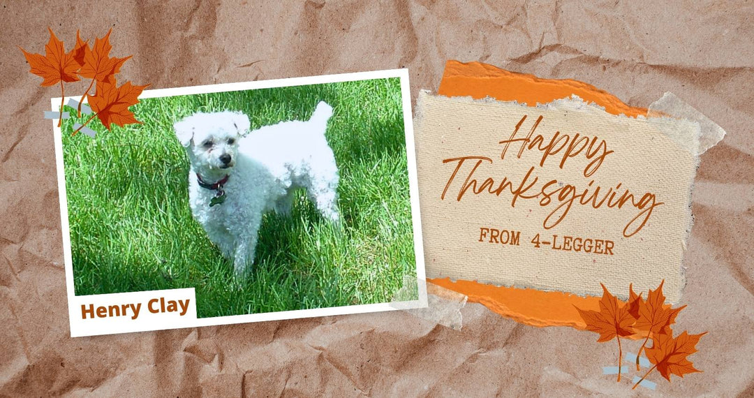 Happy Thanksgiving from 4-Legger Organic Dog Shampoo company