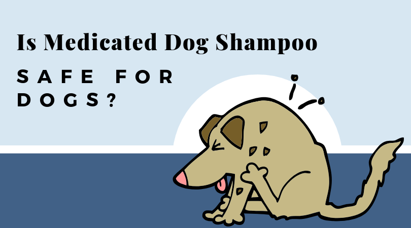 Is medicated dog shampoo safe for dogs? Safer alternatives that work