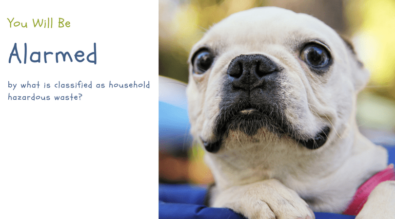 Why you need to use safe and non-toxic alternatives to flea and tick treatments