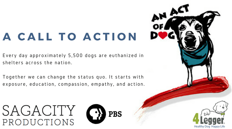 An Act of Dog: World Premier on Public Broadcasting Service (PBS)