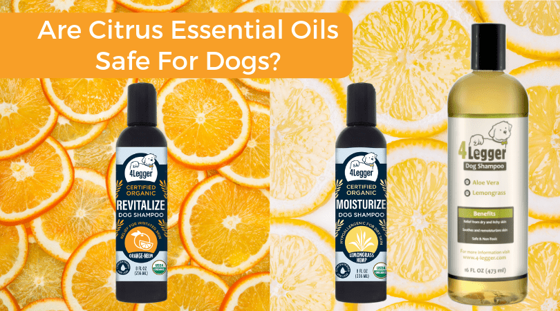 Are citrus essential oils safe for dogs? 