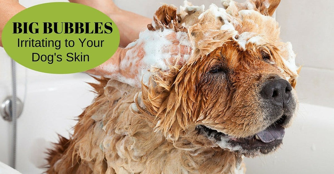 Lesson 3: Bubbles are Fun but may Irritate to Your Dog's Skin!
