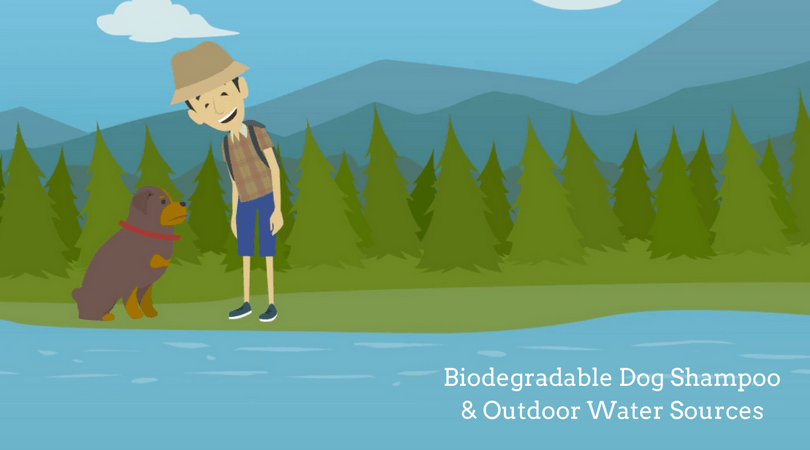 Is Biodegradable Organic Dog Shampoo Safe to Use in Outdoor Water Sources?