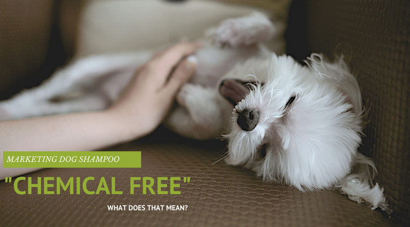 Chemical free dog shampoo for your dog or cat. What does it mean?