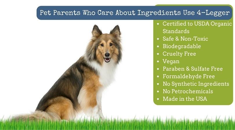 Lower Your Dog's Risk of Cancer by Reducing Their Exposure to Environmental Toxins