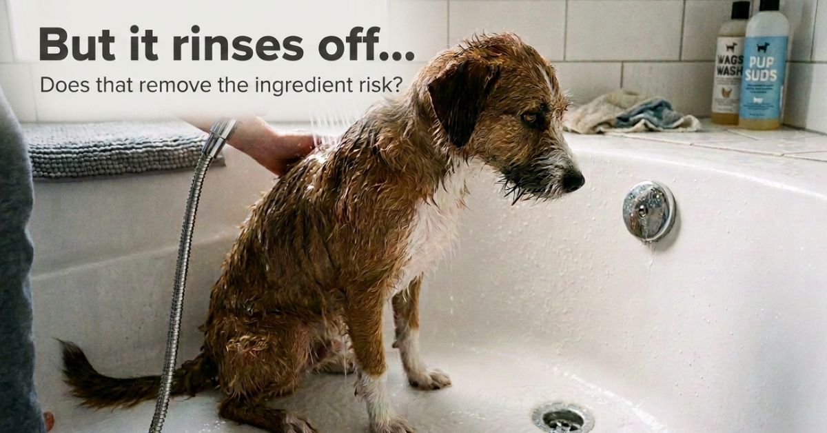 Soapy suds swirling down a bathtub drain after a dog's bath, illustrating that rinse-off shampoo still interacts with the skin before it washes away