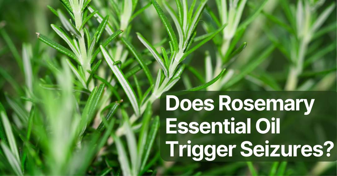 Does rosemary essential oil trigger seizures in dogs?
