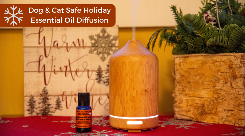 pet safe essential oil holiday diffusion blend gingerbread doghouse by animaleo