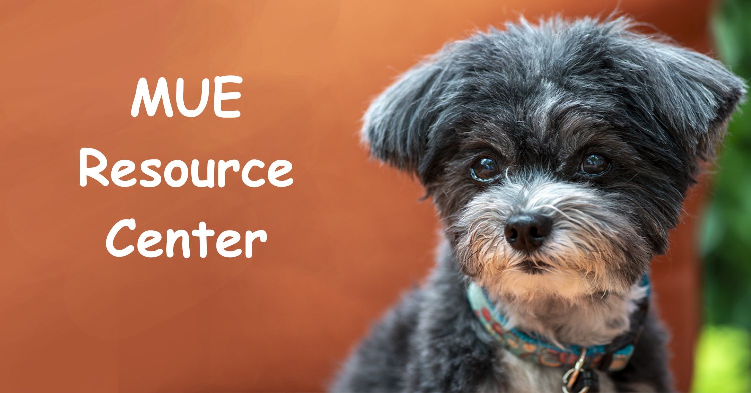 gme dog symptoms treatment prognosis