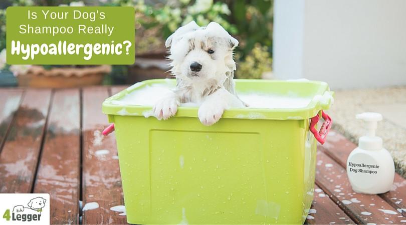 Hypoallergenic Dog Shampoo | Organic Dog Shampoo