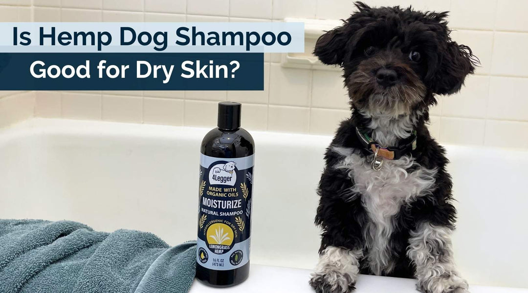 Is Hemp Dog Shampoo Good For Dry Skin