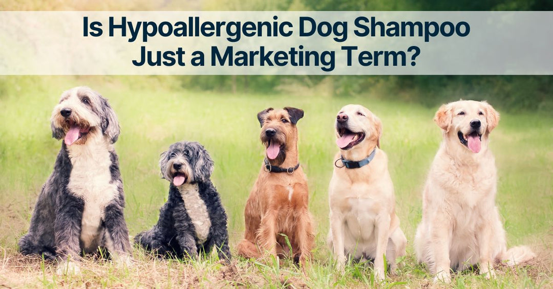 Is Hypoallergenic Dog Shampoo Just a Marketing Term?