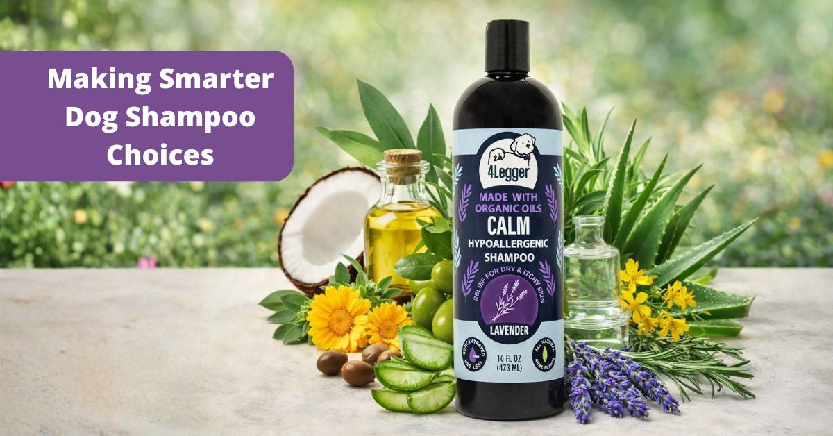 best dog shampoo choices for holistic care