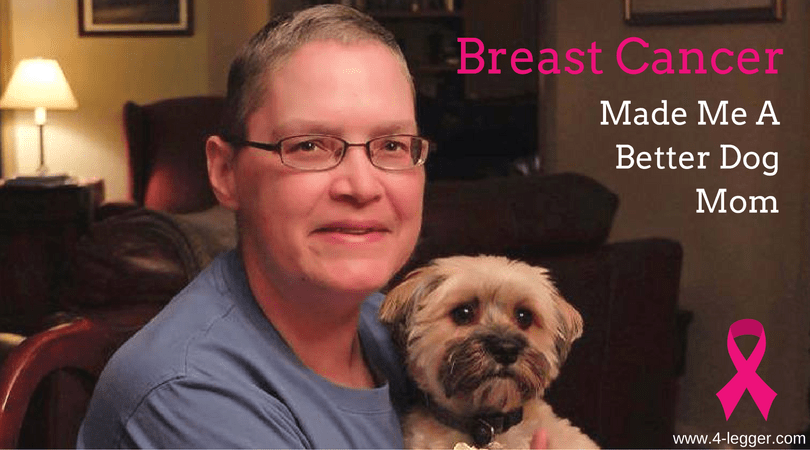 A breast cancer survivor story with hope for dogs (and their humans) all over the world