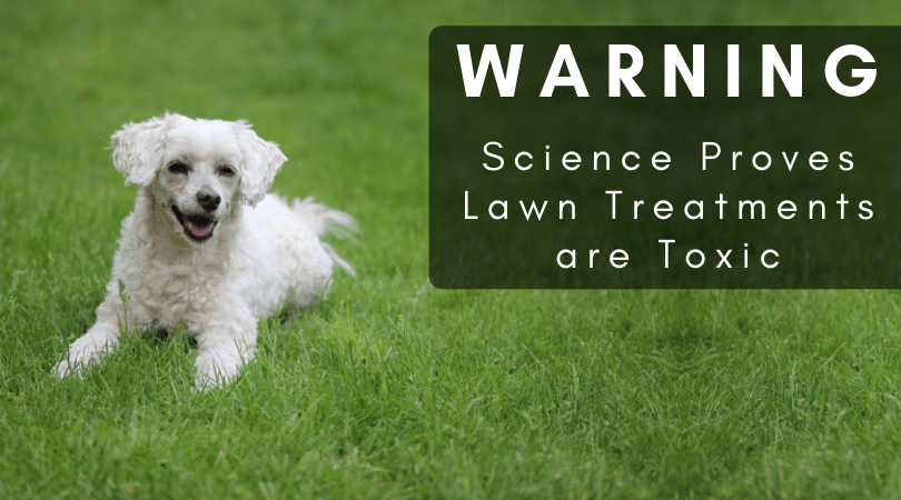 Photo inspiration: Visual Reference: Warning Science Proves Lawn Treatments Are Toxic To Dogs