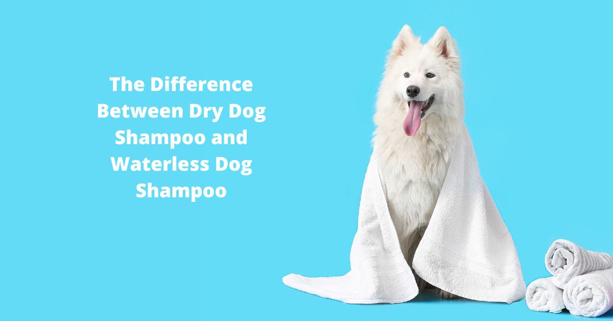 Difference Between Human And Dog Shampoo Reference: The Difference Between Dry Dog Shampoo And Waterless Dog Shampoo