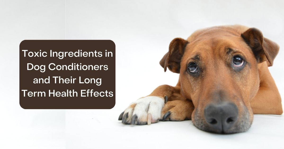 Toxic Ingredients in Dog Conditioner and Long Term Health Effects 4 Legger