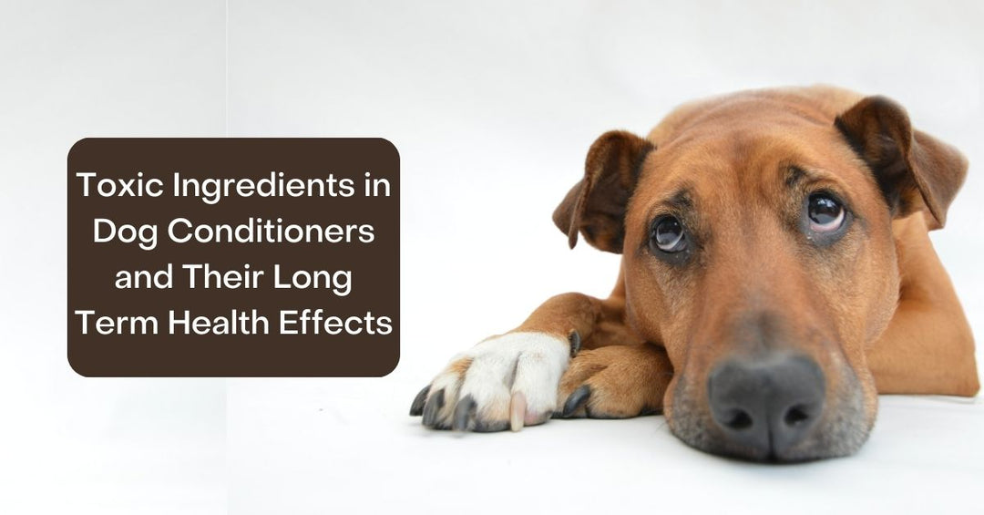 Is Dog Conditioner Safe?