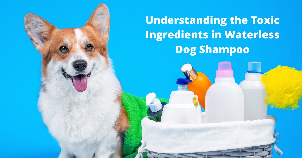 are ingredients in waterless dog shampoo safe