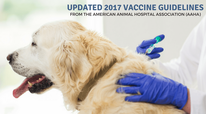 2017 Updated Vaccine Guidelines for Pet Owners and A refresher on titering and vaccinosis