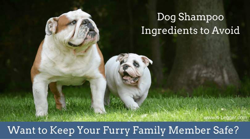 Dog Shampoo Ingredients To Avoid - Part 1