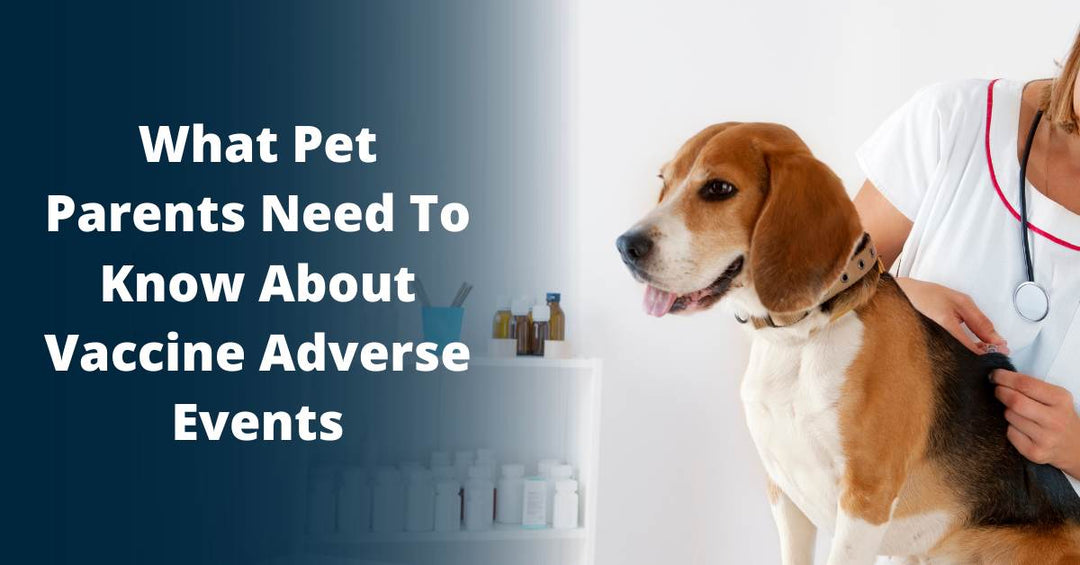 learn about adverse vaccine reactions and how to report adverse vaccine reactions