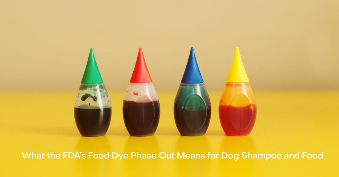 Dangers of artificial food dyes in dog food and dog shampoo