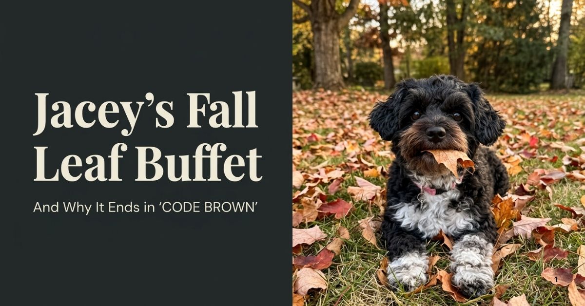 Why does my dog eat leaves