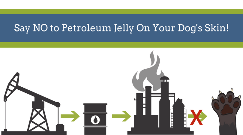 Why You Shouldn't Use Petroleum Jelly on Your Dog