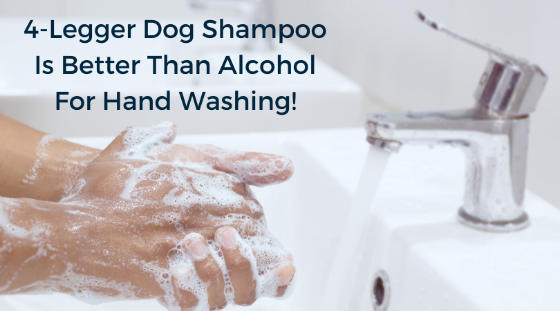 Looking for soap? Use your dog's shampoo