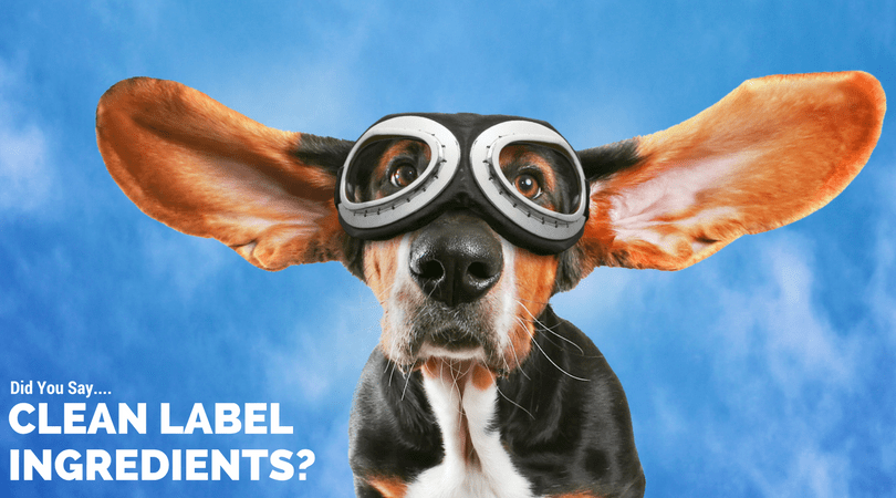 Clean Label Ingredients in Organic Dog Shampoo