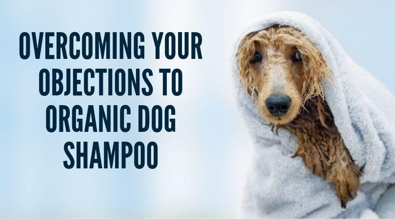 Tips to overcome your objections to organic dog shampoo