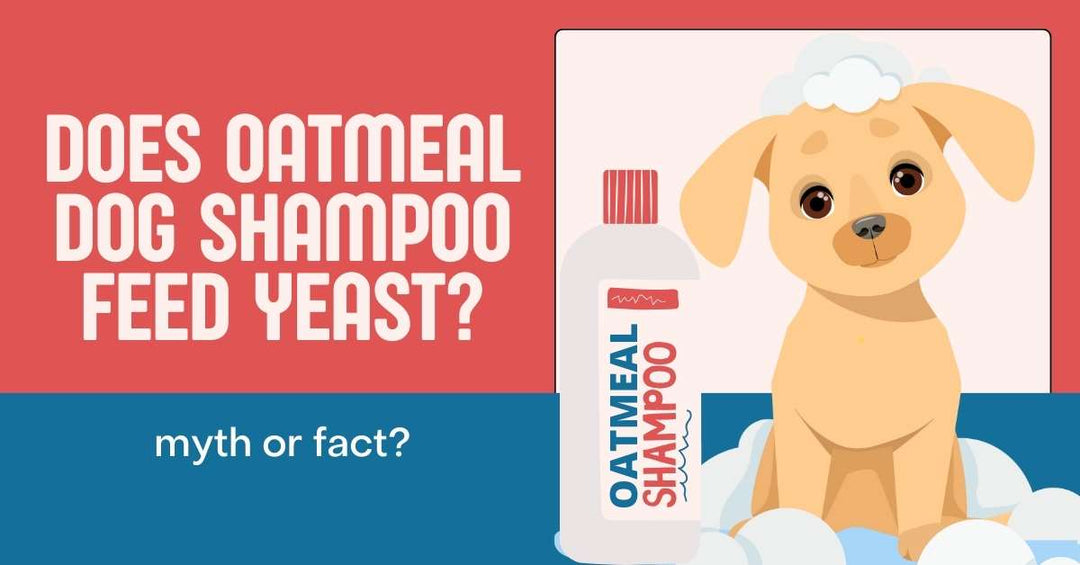 does oatmeal dog shampoo feed yeast?