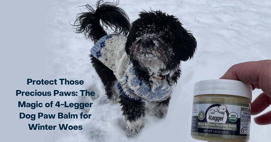our best paw balm for snow and ice