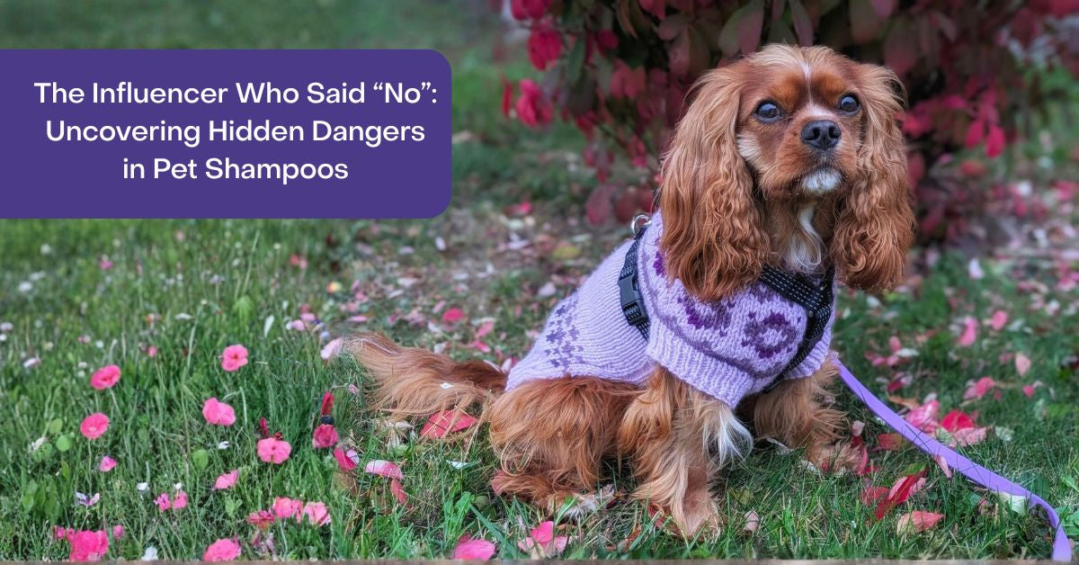 The Influencer Who Said “No” Uncovering Hidden Dangers in Pet Shampoo
