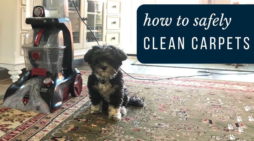 pet safe carpet cleaner for steam cleaner